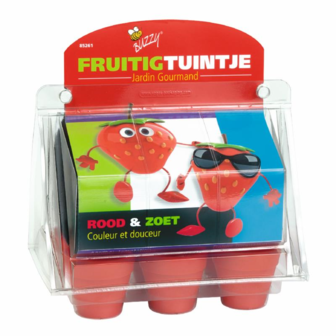 Kweekset fruitig tuintje aardbeien