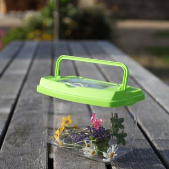 insecten studie box