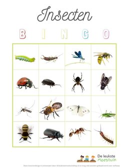 Insecten bingo | Gratis downloaden