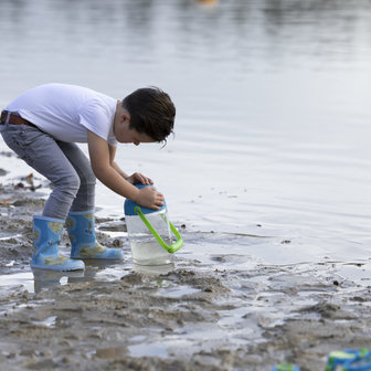emmer ontdekken waterbeestjes