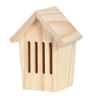 DIY verf vlinderkast