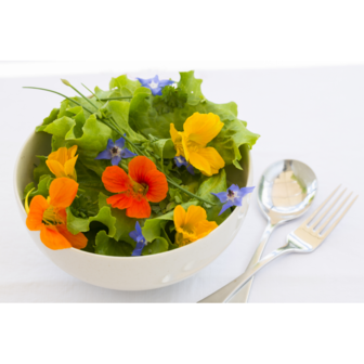 eetbare bloemen kweken