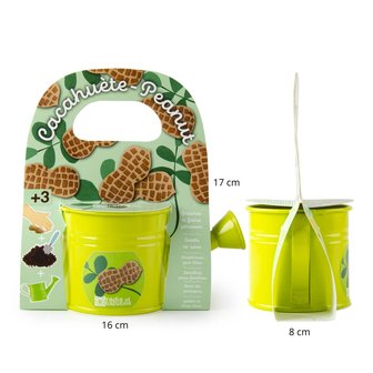 mini kweekset pindaplantje