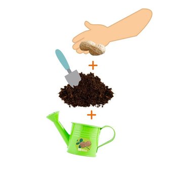 gieter met pindaplantje