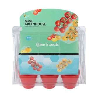 Mini greenhouse cherry tomaatjes