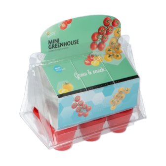 Mini greenhouse cherry tomaatjes