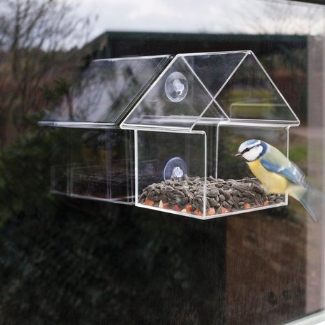 voederhuis raam vogels