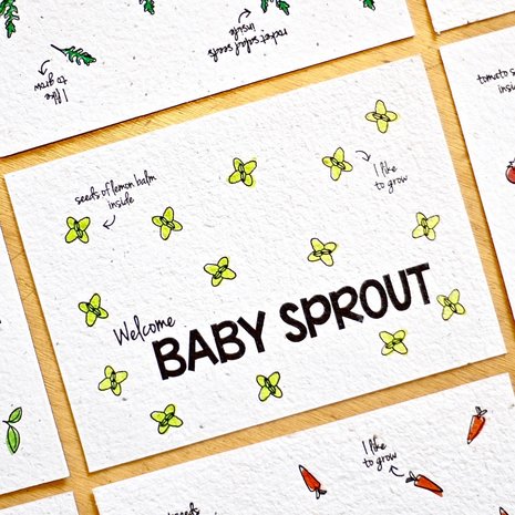 bloeikaart baby sprout