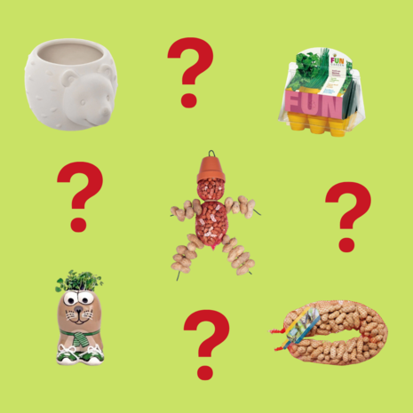 Kerstvakantie Mystery pakket