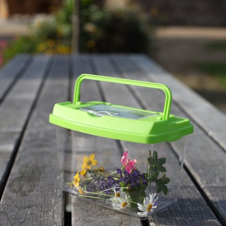 insecten studie box