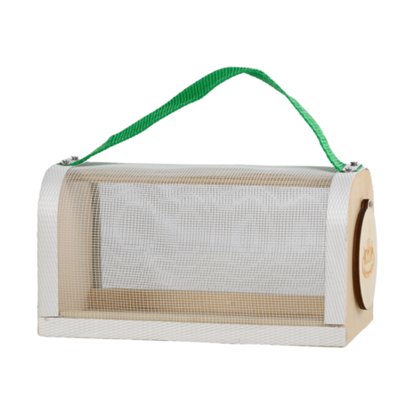insecten kijkbox