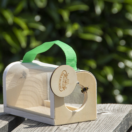 insecten bekijken box