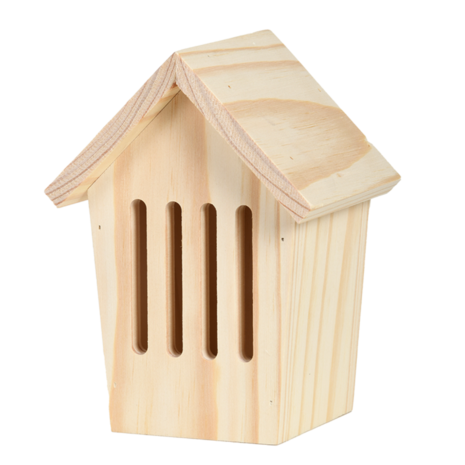 DIY verf vlinderkast