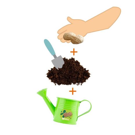 gieter met pindaplantje