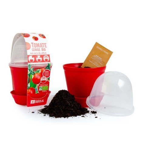 kweekset tomaten
