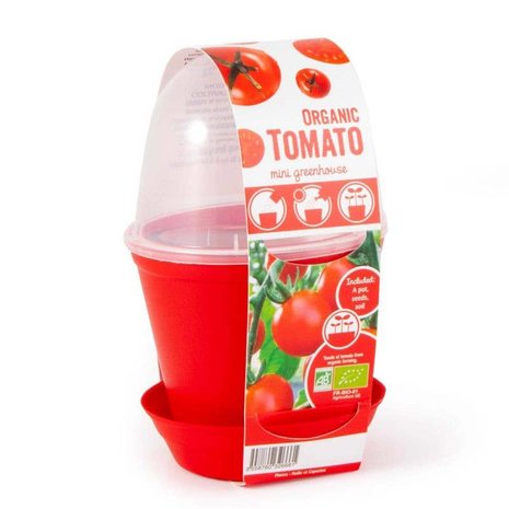 kweekset tomaten