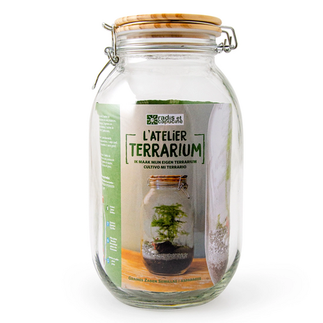 DIY terrarium