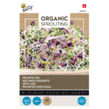 Buzzy® Organic Sprouting Salademengsel pikant (BIO) Buzzy® Organic Sprouting Salademengsel pikant (BIO)