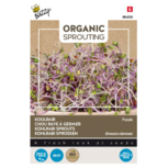 Buzzy® Organic Sprouting Koolrabi blauwpaars (BIO) Buzzy® Organic Sprouting Koolrabi blauwpaars (BIO)