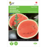 Watermeloen - Buzzy seeds Watermeloen - Buzzy seeds