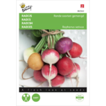 Radijs gemengde kleuren - Buzzy seeds Radijs gemengde kleuren - Buzzy seeds