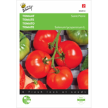 Tomaat Saint pierre - Buzzy seeds Tomaat Saint pierre - Buzzy seeds
