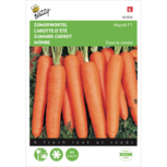 Zomerwortel napoli - Buzzy seeds Zomerwortel napoli - Buzzy seeds