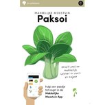 Paksoi - makkelijke moestuin Paksoi - makkelijke moestuin