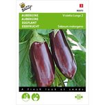 Aubergine zaden (Violetta Lunga 2) Aubergine zaden (Violetta Lunga 2)