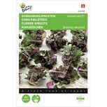 Boerenkoolspruitjes zaden | Buzzy Boerenkoolspruitjes zaden | Buzzy