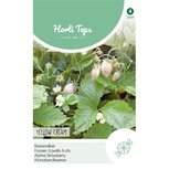 Bosaardbeien yellow cream - Horti Tops Bosaardbeien yellow cream - Horti Tops