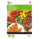 Cherrytomaten - verschillende kleuren Cherrytomaten - verschillende kleuren