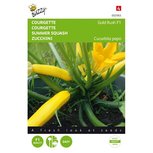 Courgette geel - Gold rush Courgette geel - Gold rush