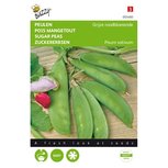 Peulen grijs roodbloeiende - Buzzy Peulen grijs roodbloeiende - Buzzy