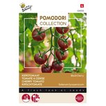 Cherrytomaten - Black cherry Cherrytomaten - Black cherry