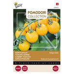 Kerstomaat Cereza - gele kerstomaatjes zaden Kerstomaat Cereza - gele kerstomaatjes zaden