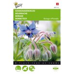 Komkommerkruid - borage zaden Komkommerkruid - borage zaden