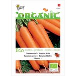 Zomerwortel nantes - biologische zaden Zomerwortel nantes - biologische zaden