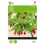 Zoete mini peper zaden Zoete mini peper zaden