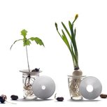 Kweekschaaltje Botanopia S Kweekschaaltje Botanopia S
