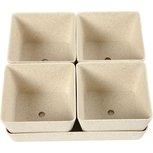 DIY Kruidenpotjes + gratis kruidenzaden DIY Kruidenpotjes + gratis kruidenzaden
