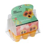 Mini greenhouse zonnebloemen | new design Mini greenhouse zonnebloemen | new design