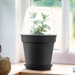 Elho kweekpot met kweekhuis | 30 cm. Elho kweekpot met kweekhuis | 30 cm.