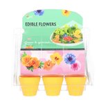 Mini greenhouse eetbare bloemen Mini greenhouse eetbare bloemen