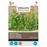 Buzzy® Organic Sprouting Broccolikers (BIO) Buzzy® Organic Sprouting Broccolikers (BIO)