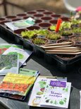 Moestuin cursus volwassenen - de groene juffen Moestuin cursus volwassenen - de groene juffen